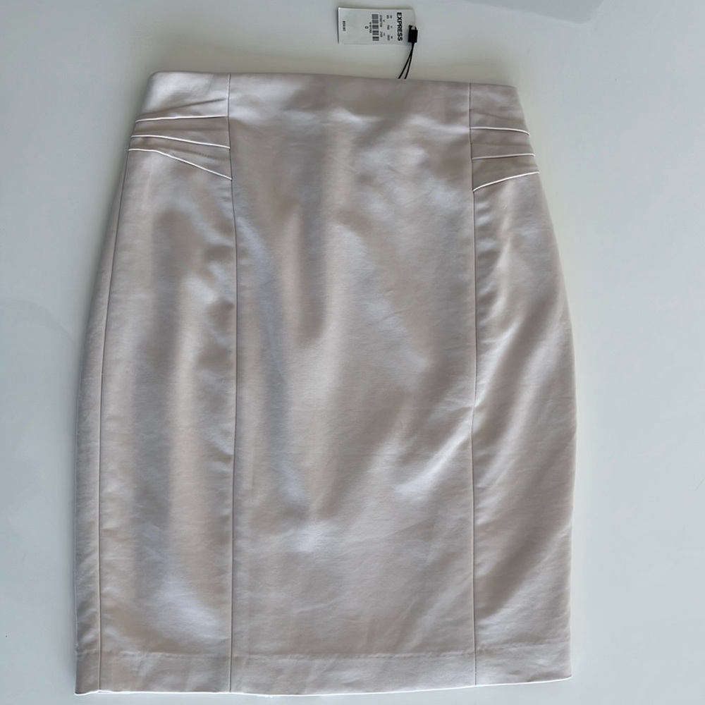NWT Express Skirt